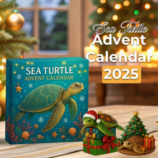 🌊🐢 Calendrier de l'Avent Tortue de Mer 2025